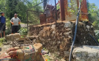 ऊर्जा निगम की घोर लापरवाही, करंट लगने से खच्चर की मौत व एक भैंस झुलसी