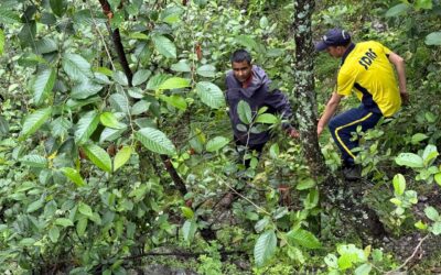 संयुक्त रेस्क्यू टीम ने खाई में गिरे कावड की खोजबीन के लिए चलाया रेस्क्यू अभियान