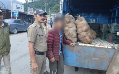 पुलिस ने कांजल काठ के 597 नग के साथ दो दबोचे