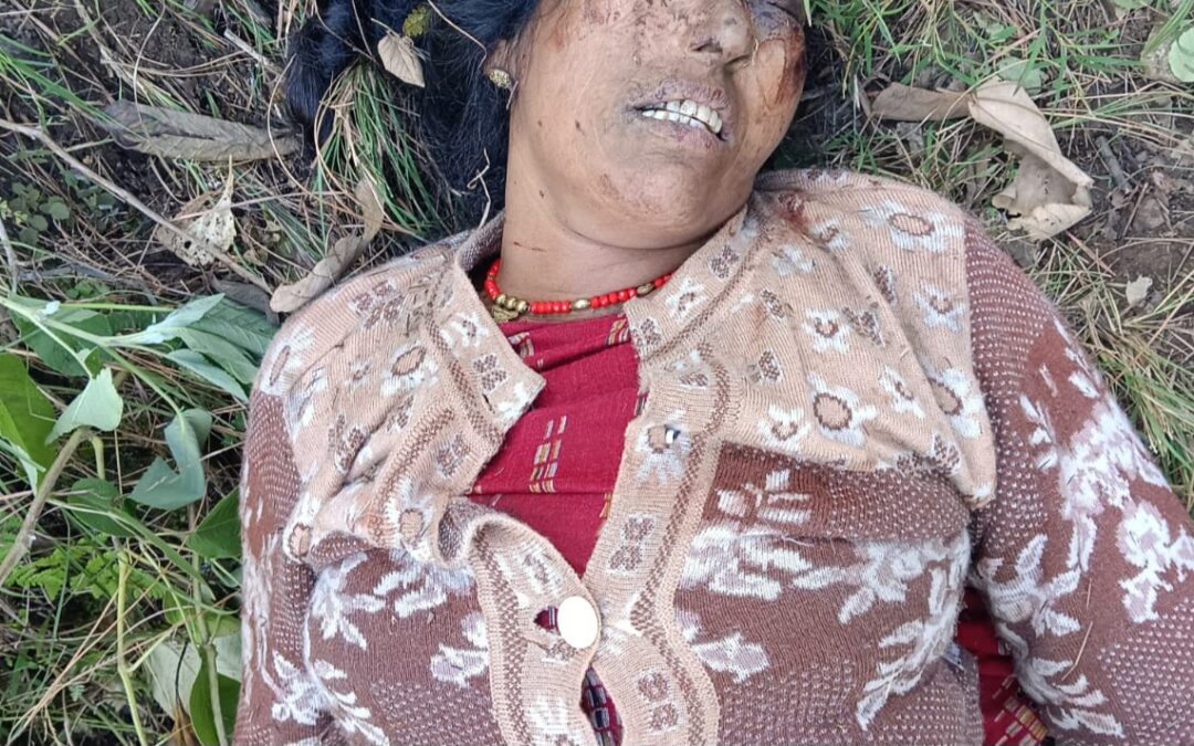 घास काटते समय महिला पत्थर की चपेट में आई, खाई में गिरने से दर्दनाक मौत